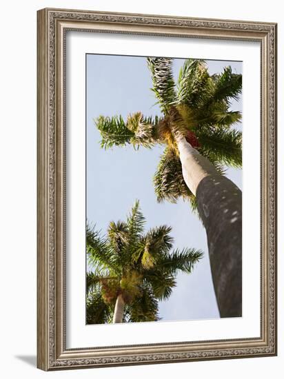 Below the Palms II-Karyn Millet-Framed Photo