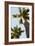 Below the Palms II-Karyn Millet-Framed Photo