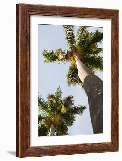 Below the Palms II-Karyn Millet-Framed Photo