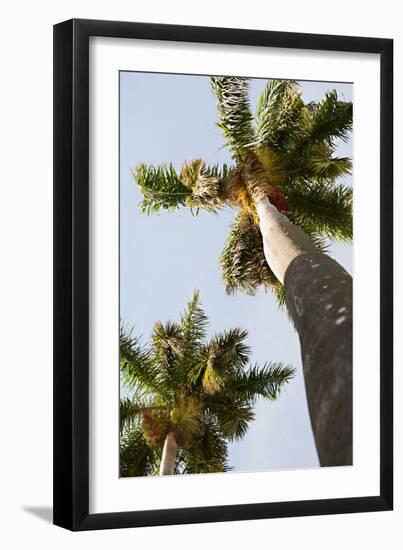 Below the Palms II-Karyn Millet-Framed Photo