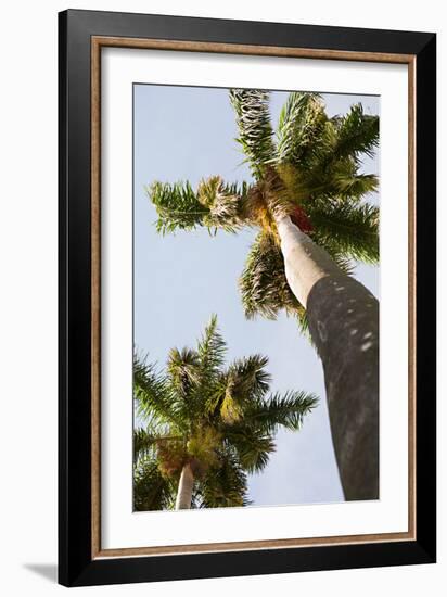 Below the Palms II-Karyn Millet-Framed Photo