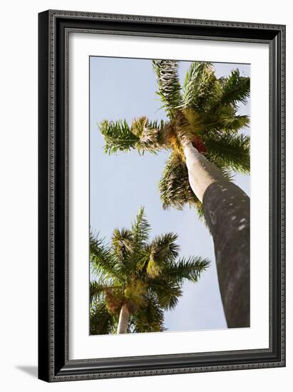 Below the Palms II-Karyn Millet-Framed Photo