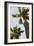 Below the Palms II-Karyn Millet-Framed Photo