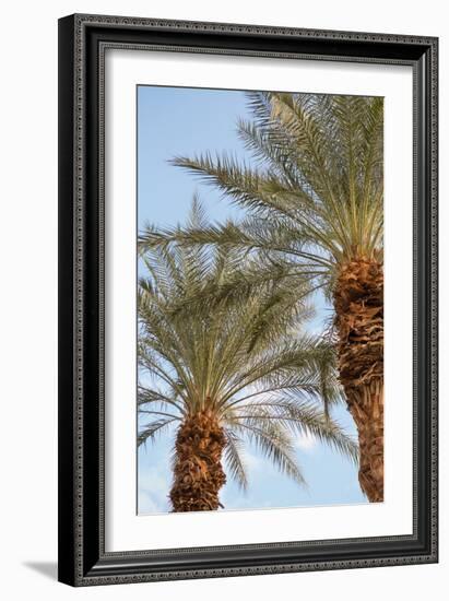 Below the Palms III-Karyn Millet-Framed Photo