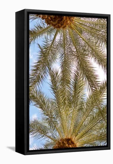 Below the Palms IV-Karyn Millet-Framed Stretched Canvas