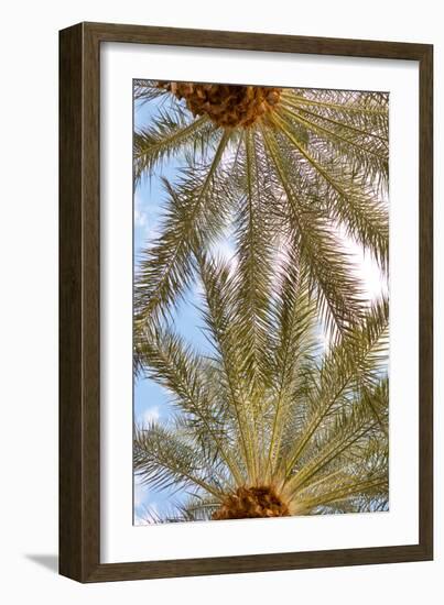 Below the Palms IV-Karyn Millet-Framed Photo