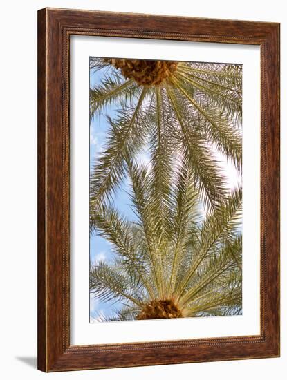 Below the Palms IV-Karyn Millet-Framed Photo