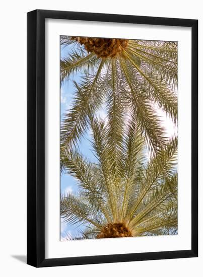 Below the Palms IV-Karyn Millet-Framed Photo