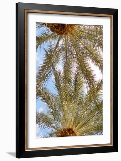 Below the Palms IV-Karyn Millet-Framed Photo