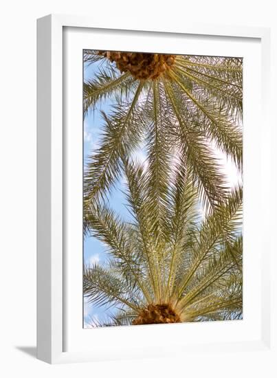 Below the Palms IV-Karyn Millet-Framed Photo