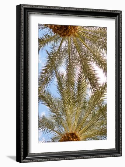 Below the Palms IV-Karyn Millet-Framed Photo