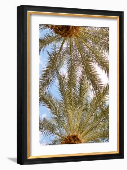 Below the Palms IV-Karyn Millet-Framed Photo