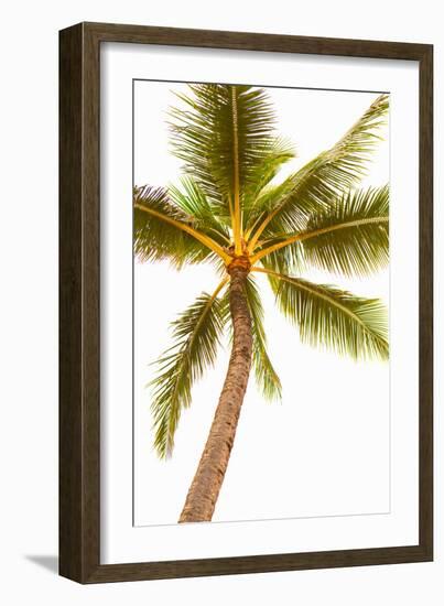 Below the Palms V-Karyn Millet-Framed Photo