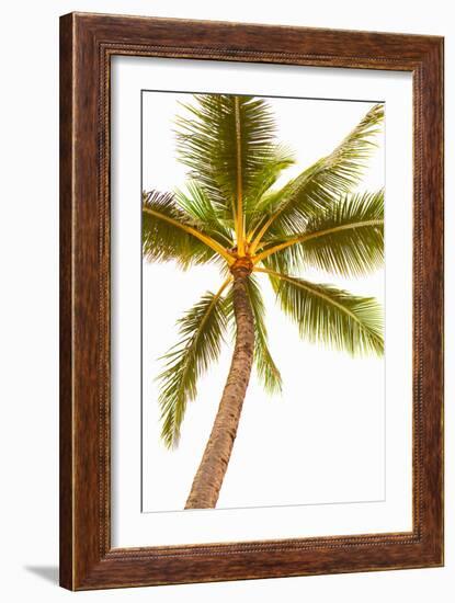 Below the Palms V-Karyn Millet-Framed Photo