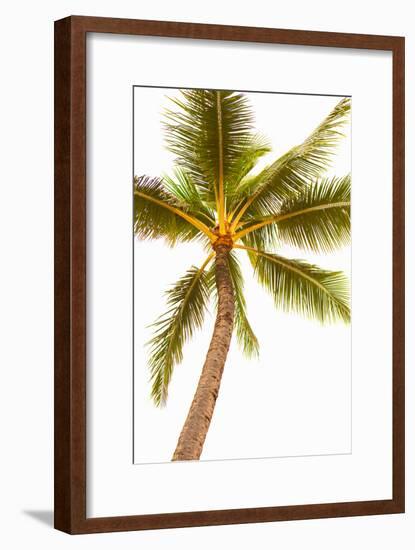 Below the Palms V-Karyn Millet-Framed Photo
