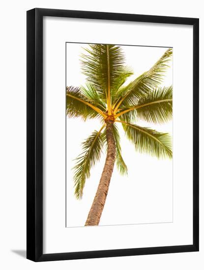 Below the Palms V-Karyn Millet-Framed Photo