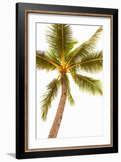 Below the Palms V-Karyn Millet-Framed Photo
