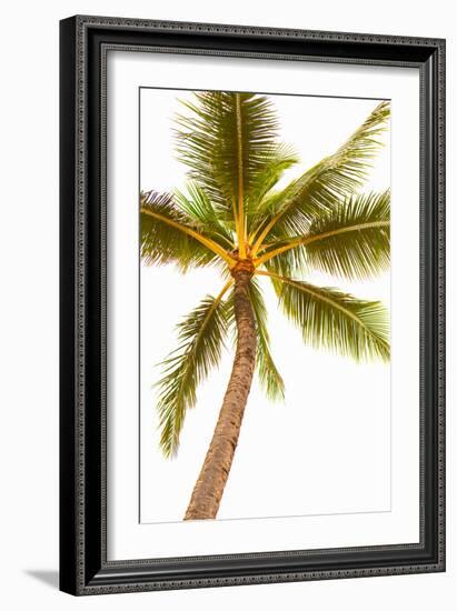 Below the Palms V-Karyn Millet-Framed Photo