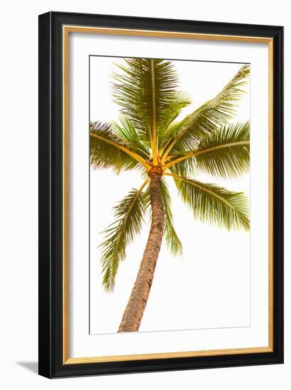 Below the Palms V-Karyn Millet-Framed Photo