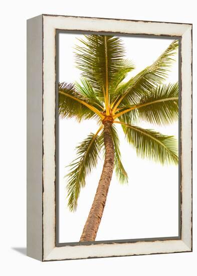 Below the Palms V-Karyn Millet-Framed Stretched Canvas