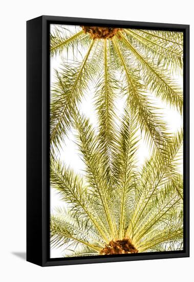 Below the Palms VI-Karyn Millet-Framed Stretched Canvas