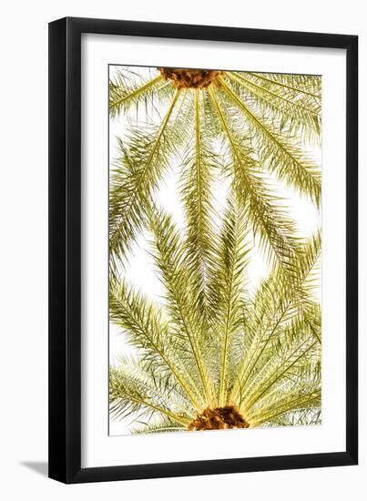 Below the Palms VI-Karyn Millet-Framed Photo