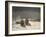 Below Zero, 1894-Winslow Homer-Framed Giclee Print