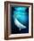 Beluga Whale, Artwork-Victor Habbick-Framed Photographic Print