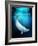 Beluga Whale, Artwork-Victor Habbick-Framed Photographic Print