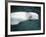 Beluga Whale, Vancouver Aquarium, British Columbia, Canada-Kevin Schafer-Framed Photographic Print