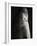 Beluga Whale-Henry Horenstein-Framed Photographic Print