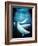 Beluga Whales, Artwork-Victor Habbick-Framed Photographic Print