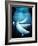 Beluga Whales, Artwork-Victor Habbick-Framed Photographic Print