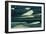 Beluga Whales-Doug Allan-Framed Photographic Print