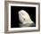 Beluga White Whale Surfacing, Vancouver Aquarium, Canada-Eric Baccega-Framed Photographic Print