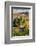 Belvedere House, San Quirico D'Orcia, Tuscany, Italy-Terry Eggers-Framed Photographic Print