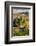 Belvedere House, San Quirico D'Orcia, Tuscany, Italy-Terry Eggers-Framed Photographic Print