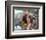 Ben Affleck - Pearl Harbor-null-Framed Photo