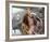 Ben Affleck - Pearl Harbor-null-Framed Photo