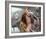 Ben Affleck - Pearl Harbor-null-Framed Photo