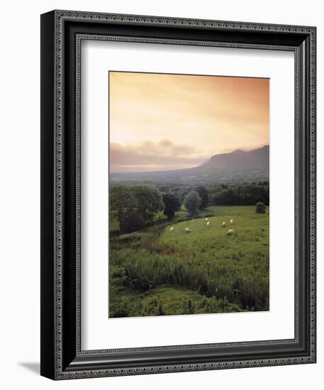 Ben Bulben, Yeats Country, Co. Sligo, Ireland-Doug Pearson-Framed Photographic Print