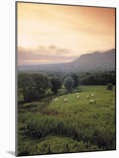 Ben Bulben, Yeats Country, Co. Sligo, Ireland-Doug Pearson-Mounted Photographic Print