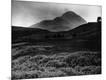 Photographic Print