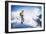 Ben Duke  Rises Above The Clouds While Exploring The Central Wasatch Mountains On Skis, Utah-Louis Arevalo-Framed Photographic Print