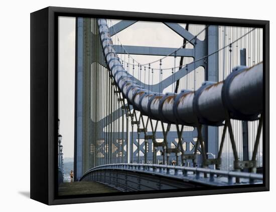 Ben Franklin Bridge, Philadelphia, Pennsylvania, USA-null-Framed Premier Image Canvas