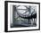 Ben Franklin Bridge, Philadelphia, Pennsylvania, USA-null-Framed Photographic Print