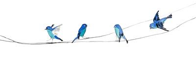 Watercolor Birds 2-Ben Gordon-Framed Giclee Print