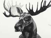 Watercolor Moose-Ben Gordon-Giclee Print