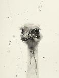 Watercolor Ostrich 2-Ben Gordon-Framed Premier Image Canvas