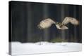 Stretched Canvas Print